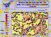 Mapa anomalas de radn (Coello et al. (1993)